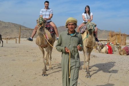 Camel ride excursion in Hurghada