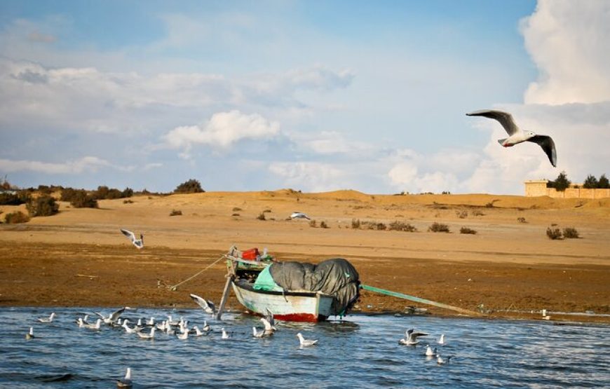 Fayoum City Tour from Cairo